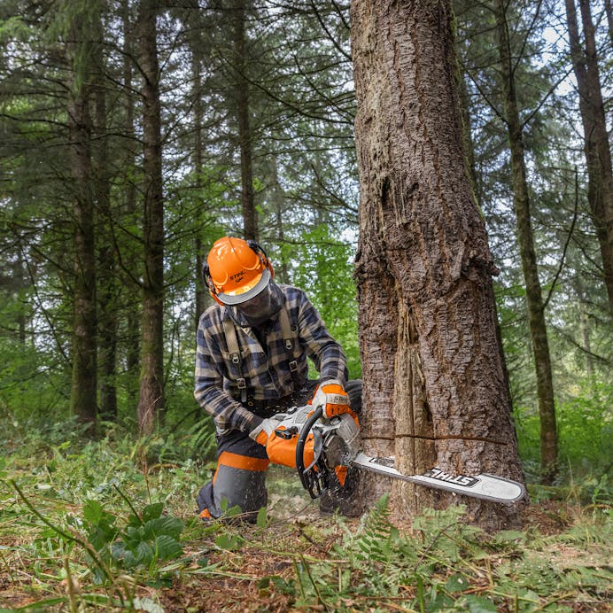STIHL® MS 462 R C-M with 25 inch Bar and Chain