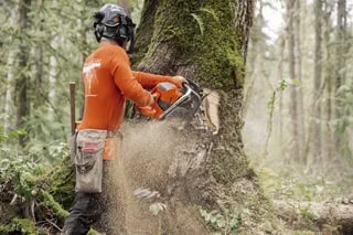 Husqvarna 592 XP® Chainsaw