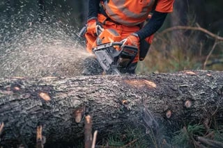 Husqvarna 592 XP® Chainsaw